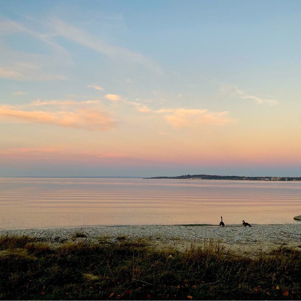 Meet your Posher, Kerrie